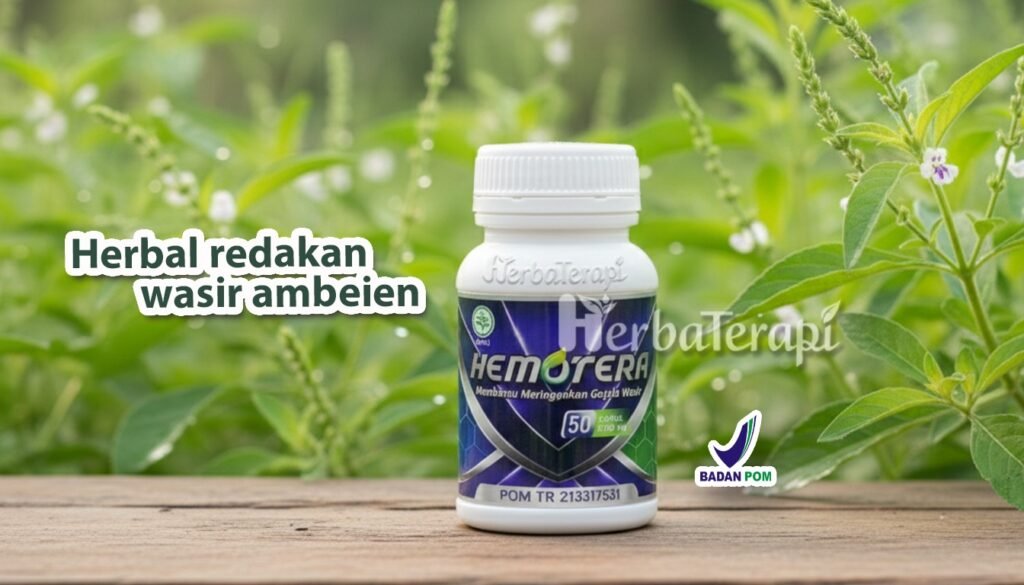 hemotera menjaga kesehatan usus