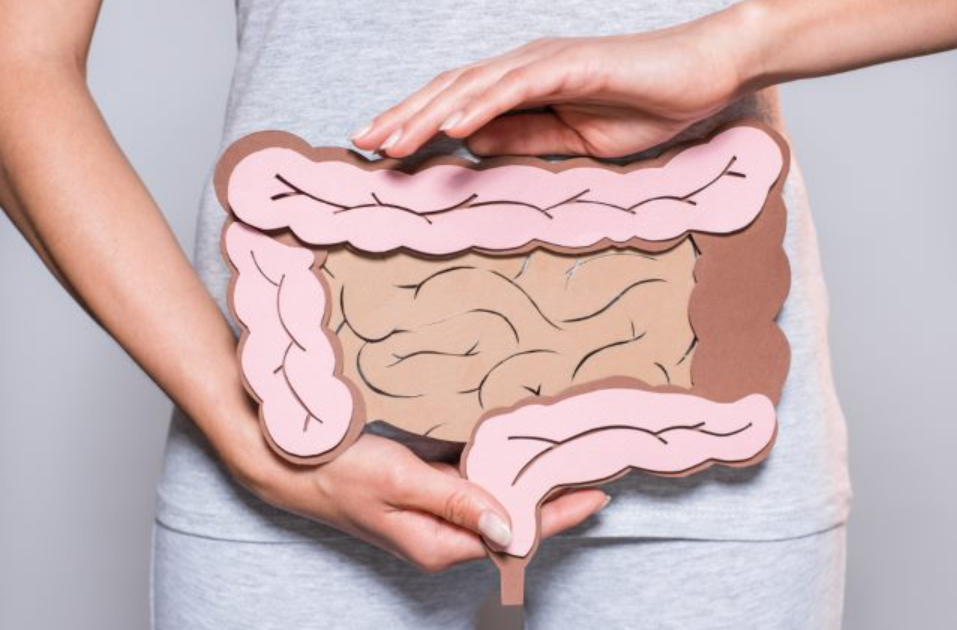 hemotera menjaga kesehatan usus