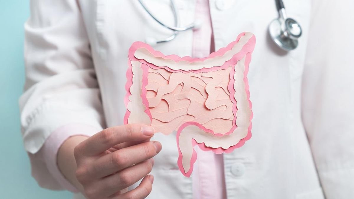 hemotera mitos detoks usus