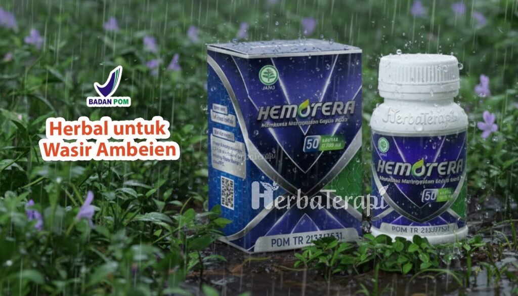 hemotera sering nyeri saat bab