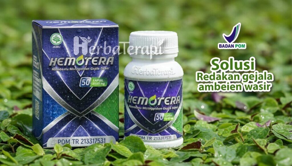 hemotera wasir akibat sembelit