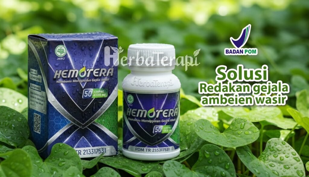 hemotera wasir kronis