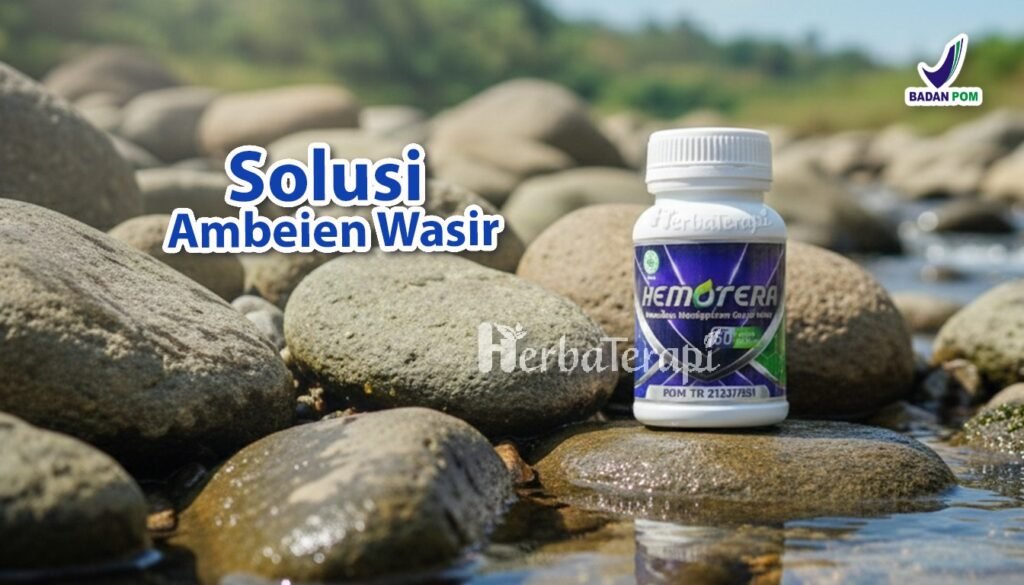 hemotera obat wasir alami