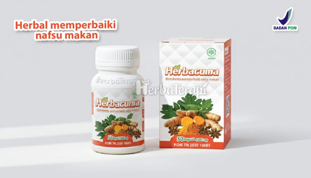 Jadwal Makan Sehat Tingkatkan Kalori Tanpa Perut Begah