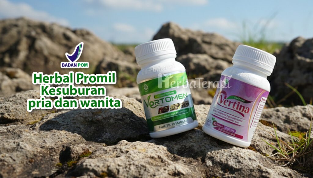 program hamil setelah haid yang efektif