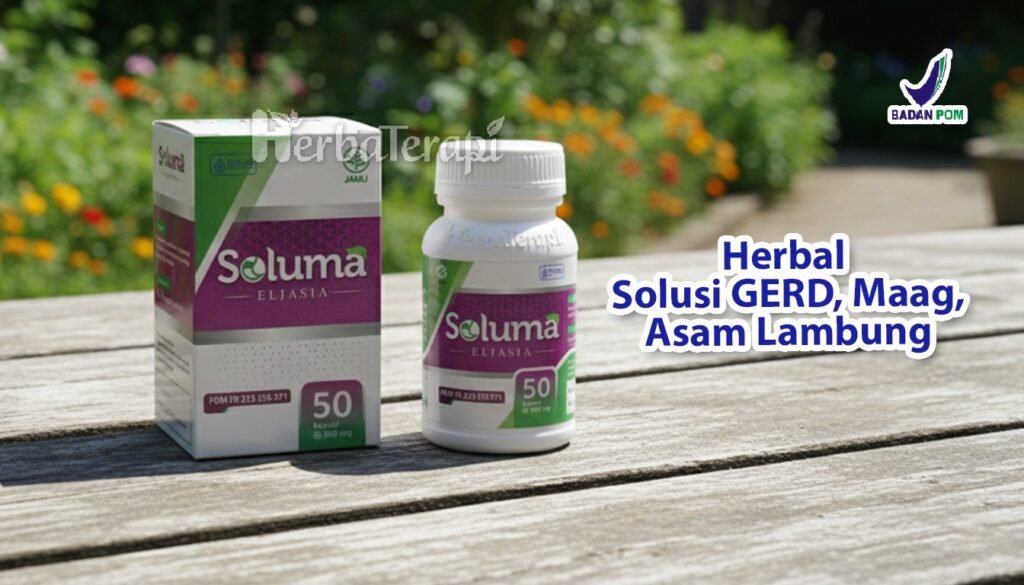 soluma apa itu gastritis