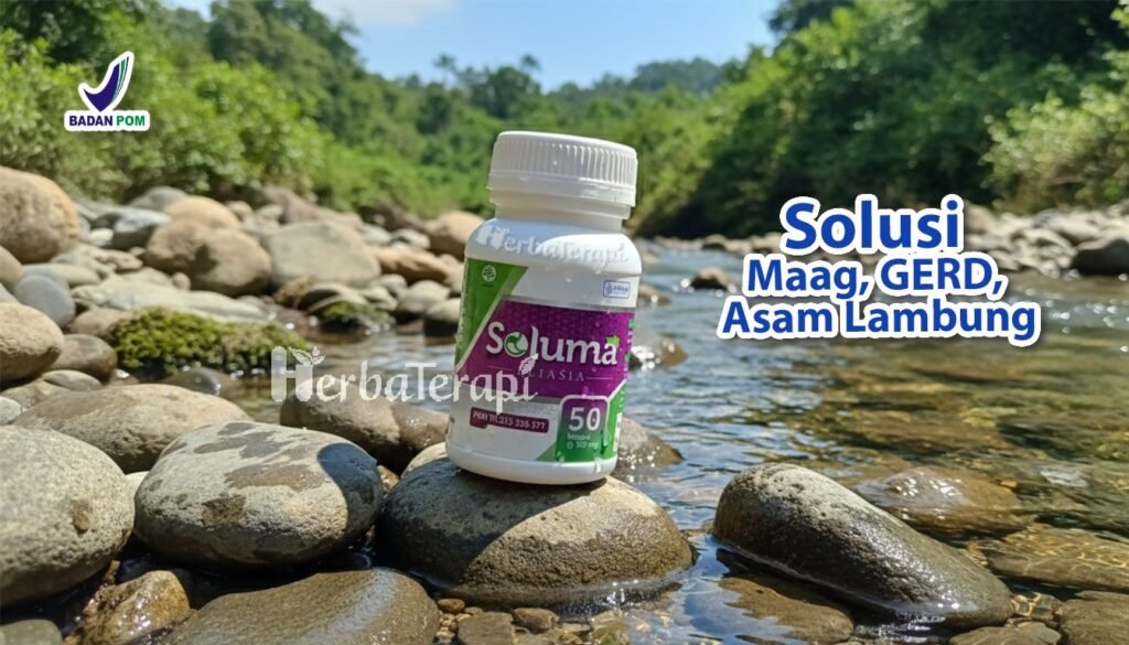 soluma asam lambung naik