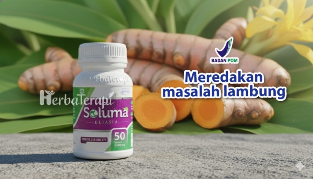 soluma gerd saat hamil