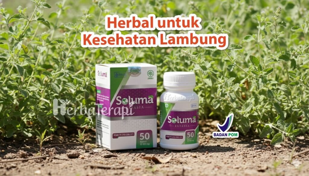 soluma gastritis pada remaja