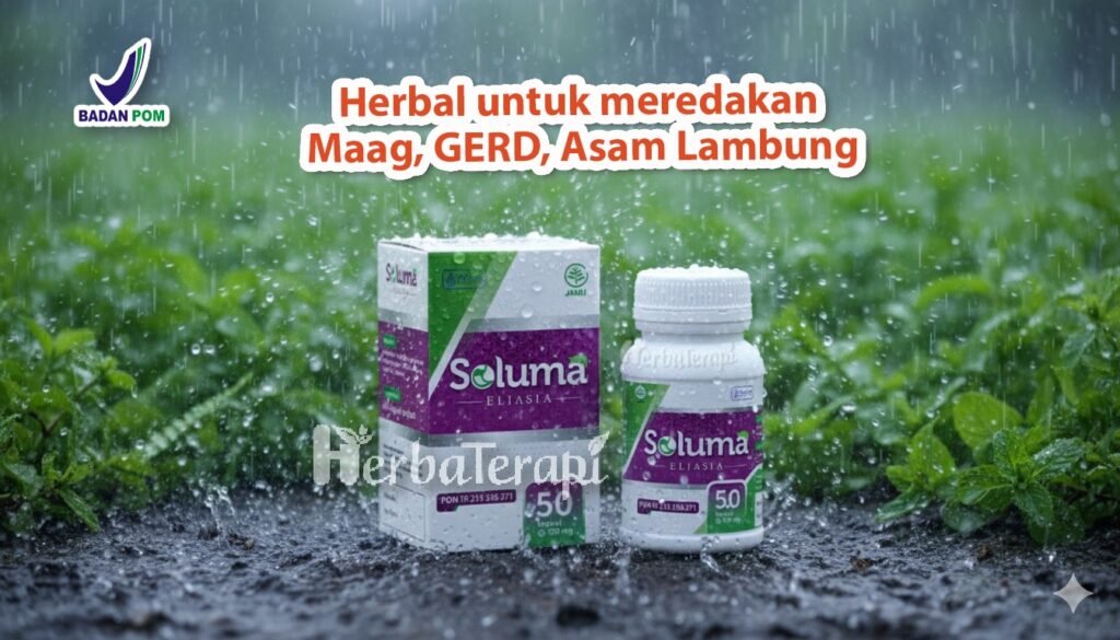 soluma sering mual dan kembung