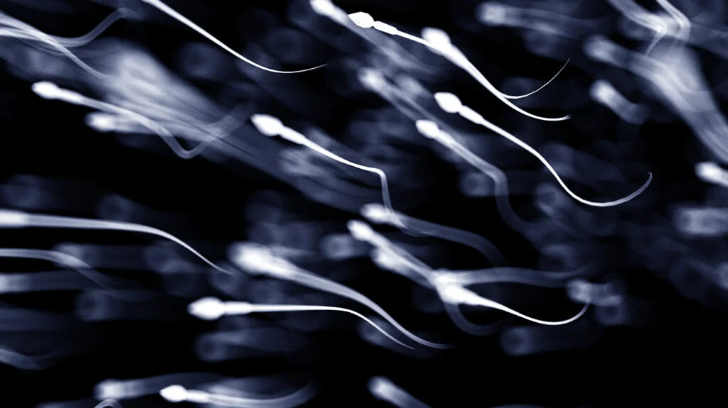 vertomen indikator kesehatan pria