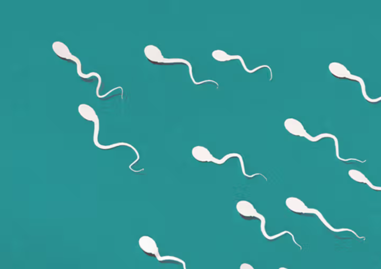 vertomen jumlah sperma sedikit