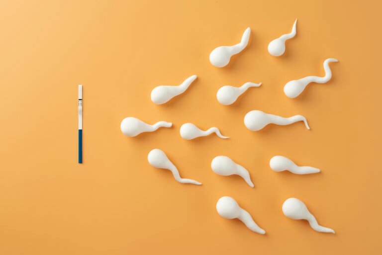 vertomen nutrisi sperma