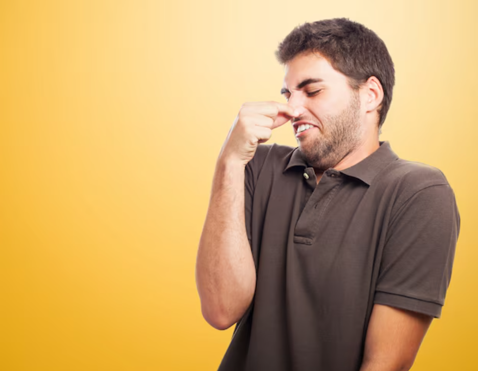 vertomen sperma bau amis