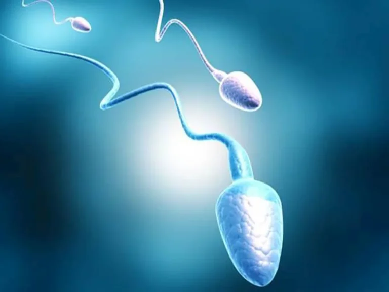 vertomen tes kesuburan pria