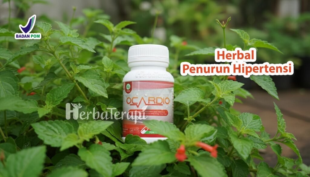 darah tinggi tidak ditangani ocardio