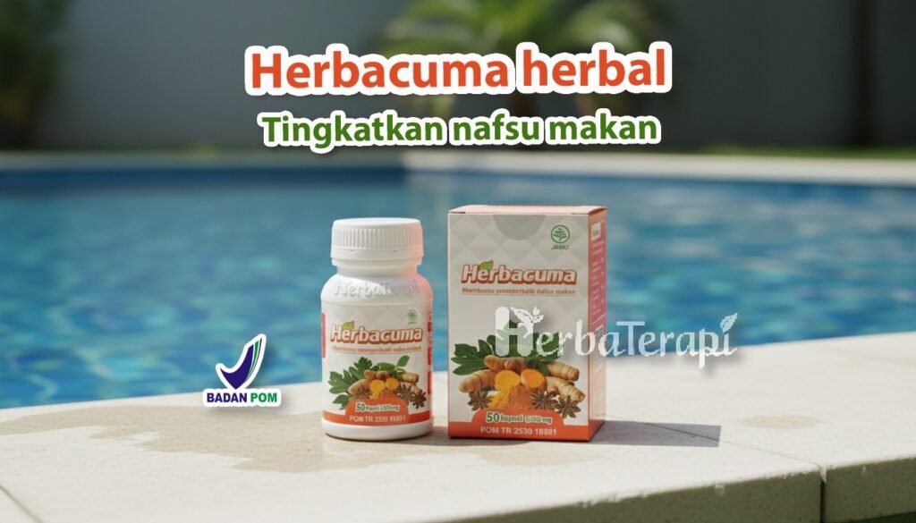 Apa Penyebab Berat Badan Tidak Naik Padahal Makan Teratur herbacuma