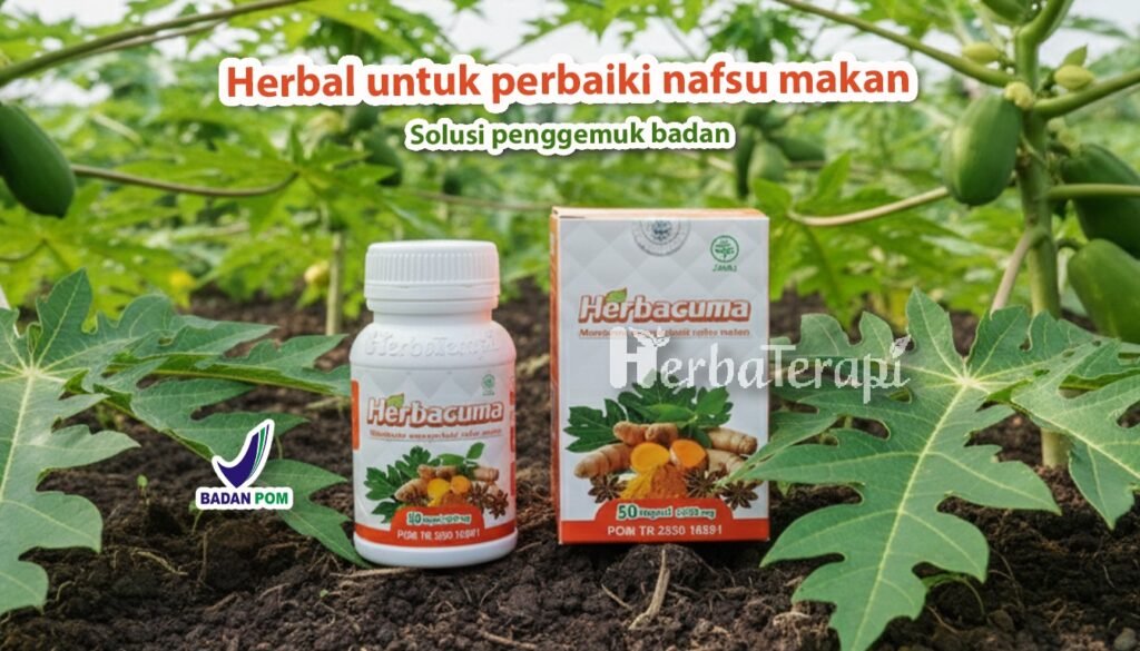 Apakah Suplemen Penambah Berat Badan Aman dan Efektif herbacuma