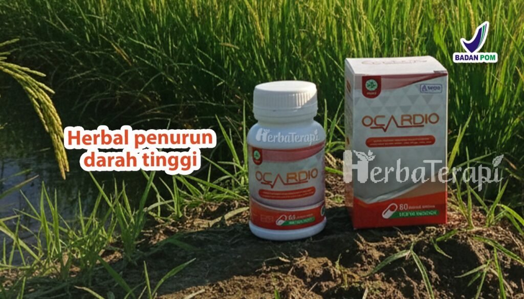 bahaya marah ocardio