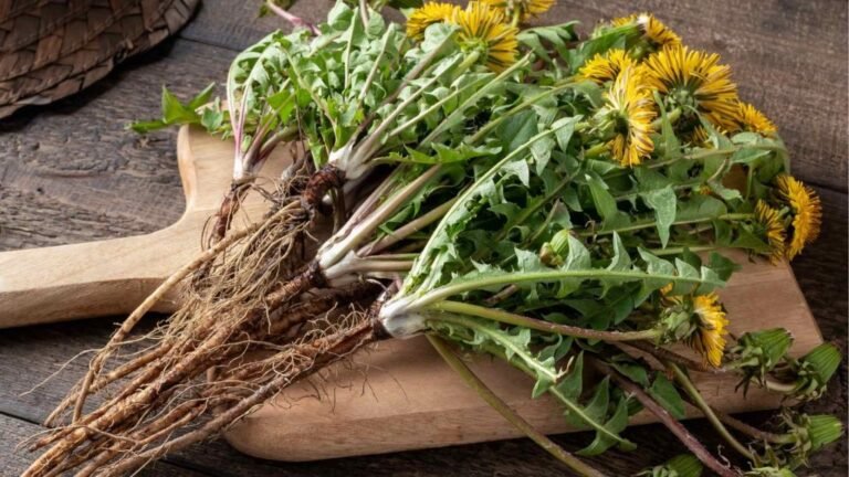 Detoks Hati Secara Alami