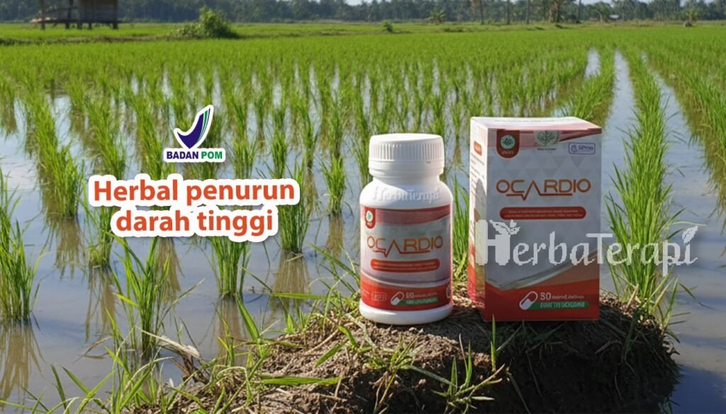 Gejala Darah Tinggi ocardio