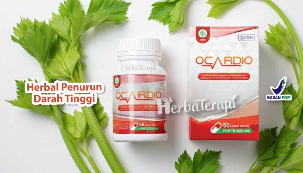 plak pembuluh darah ocardio