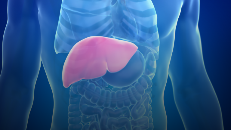 Pentingnya Detoks Liver Berkala