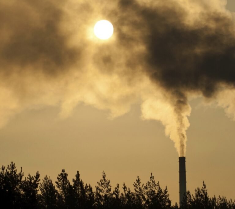 Polusi Udara dan Kerusakan Hati, Adakah Hubungannya