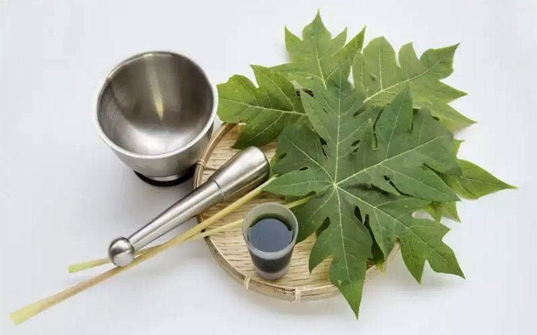 Ramuan Herbal Nafsu Makan