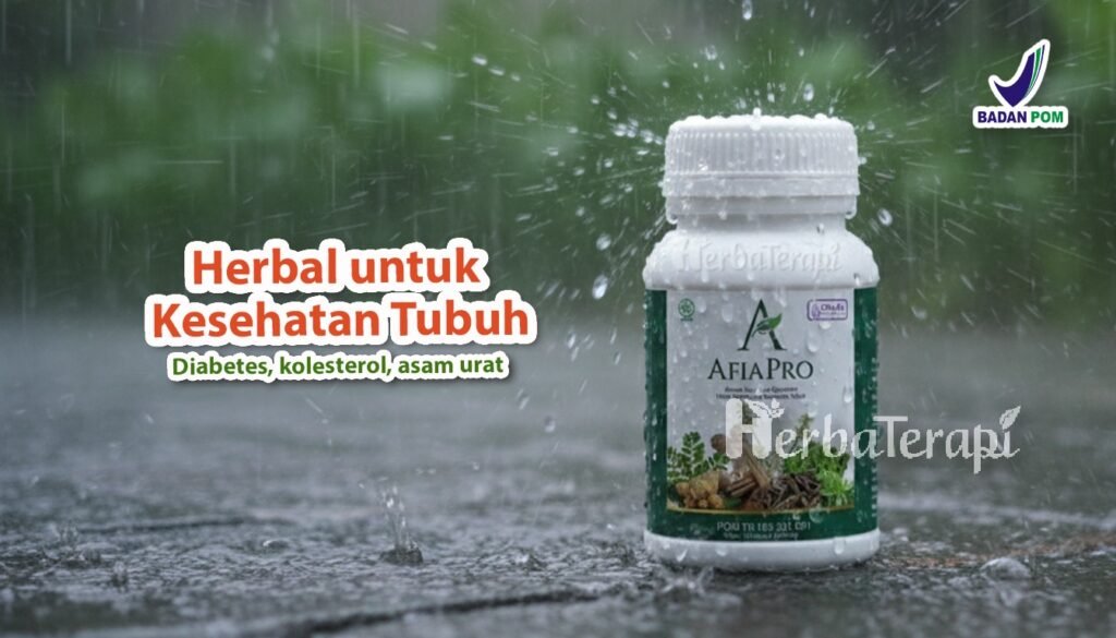 afiapro menu diet harian