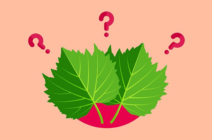 fortamen obat kuat alami