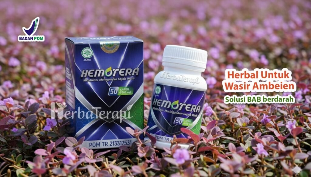 hemotera penyebab kambuhnya wasir