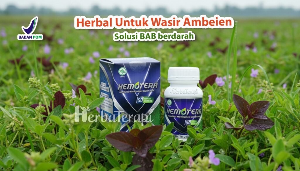 hemotera penyakit berhubungan dengan wasir