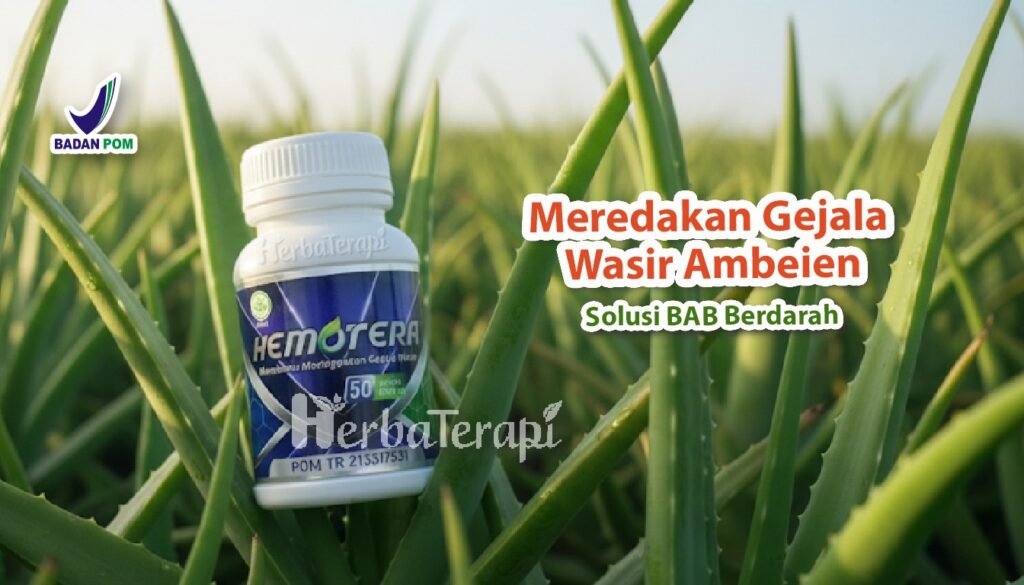 hemotera wasir pecah