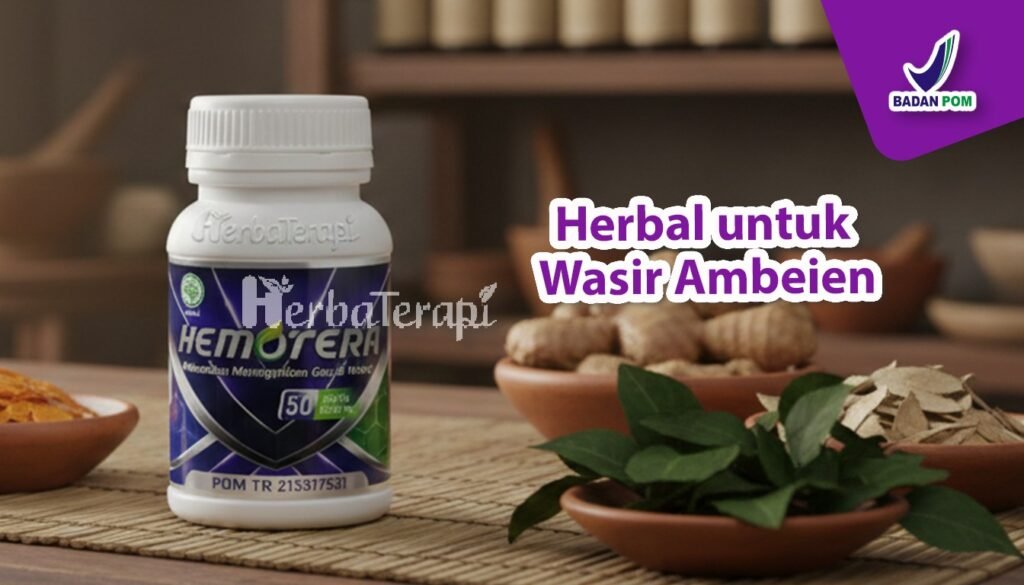 hemotera wasir pada orang tua