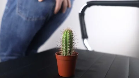 hemotera cara menghilangkan benjolan ambeien