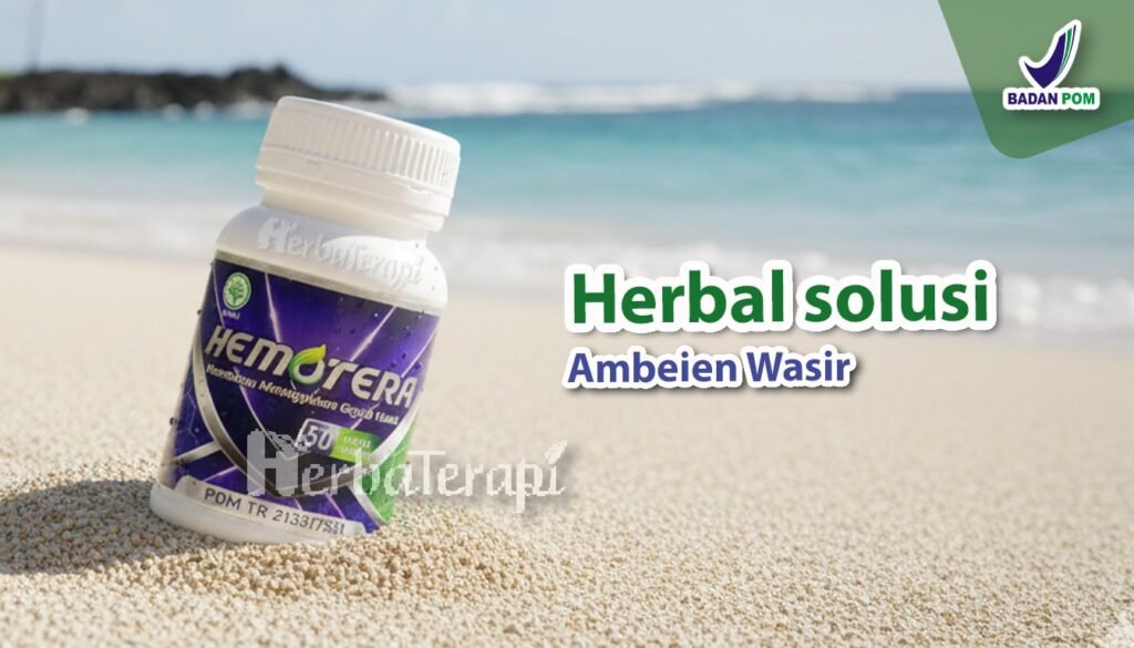 diet anti wasir hemotera