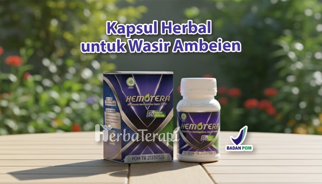 hemotera ibu hamil rentan ambeien