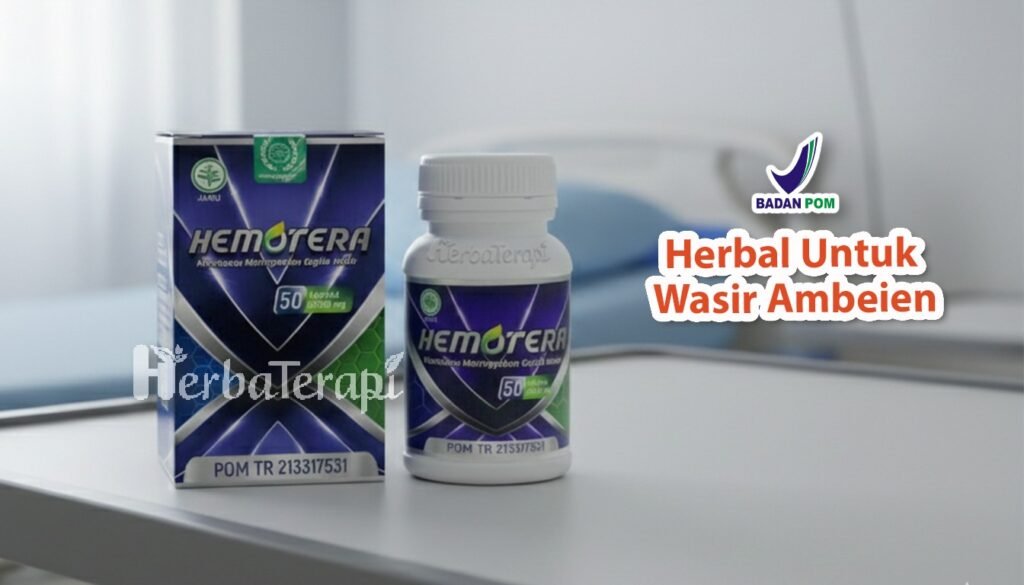 hemotera Ambeien Berdarah