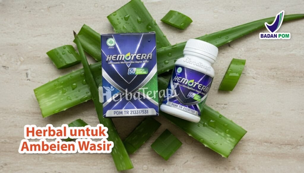 hemotera wasir kempes