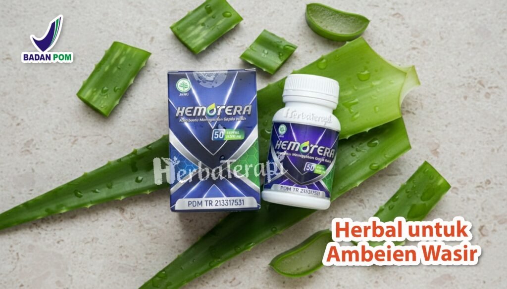 hemotera manfaat obat herbal wasir
