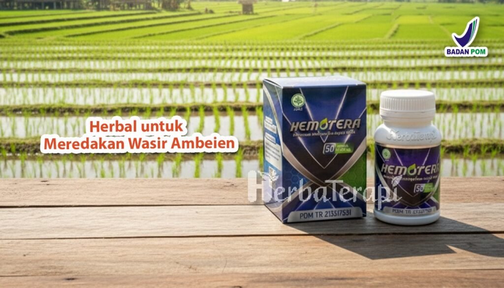 hemotera mengejan saat BAB