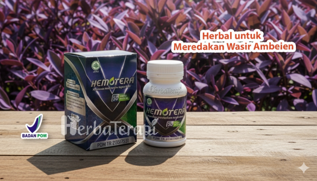 hemotera pereda sembelit