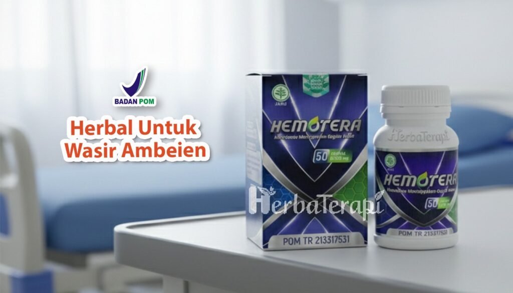 hemotera risiko terkena ambeien