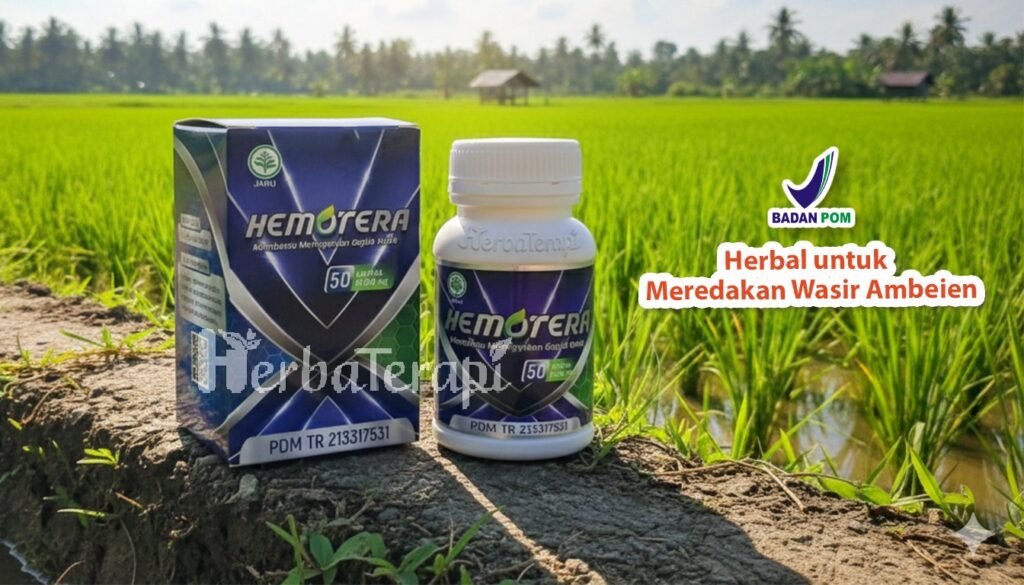 hemotera sembelit berkepanjangan