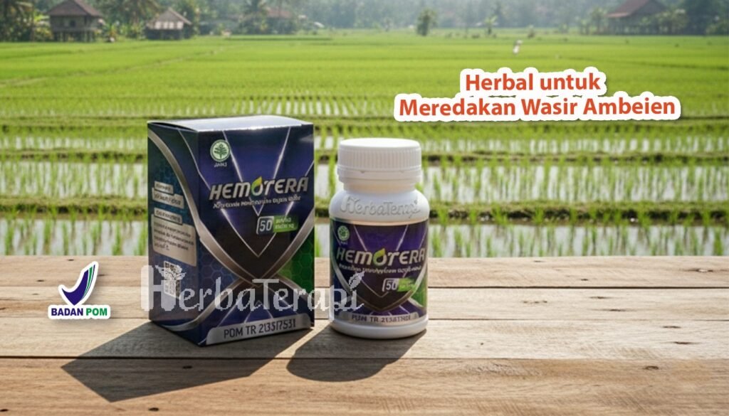 hemotera sembelit dan wasir