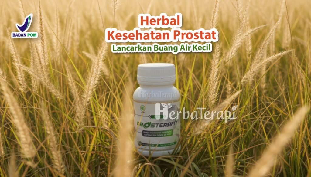 prosterafit penyebab orang terkena prostat