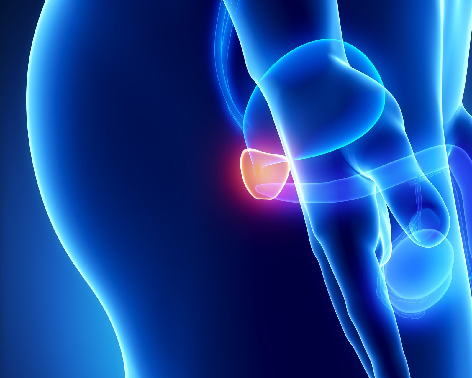 prosterafit kelenjar prostat