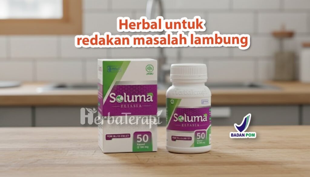 soluma penyebab utama lambung bocor