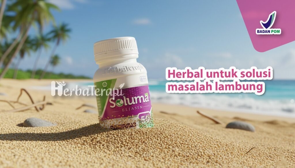 diet untuk penderita gastritis soluma 